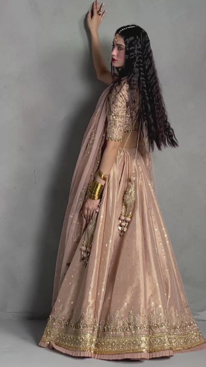 Rose Pink Lehnga Choli