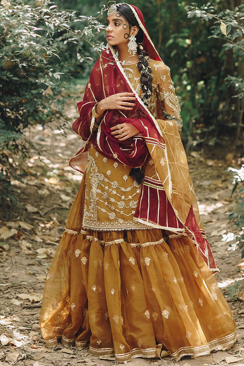 Megha
