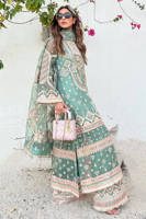 Picture of Syrah yousaf