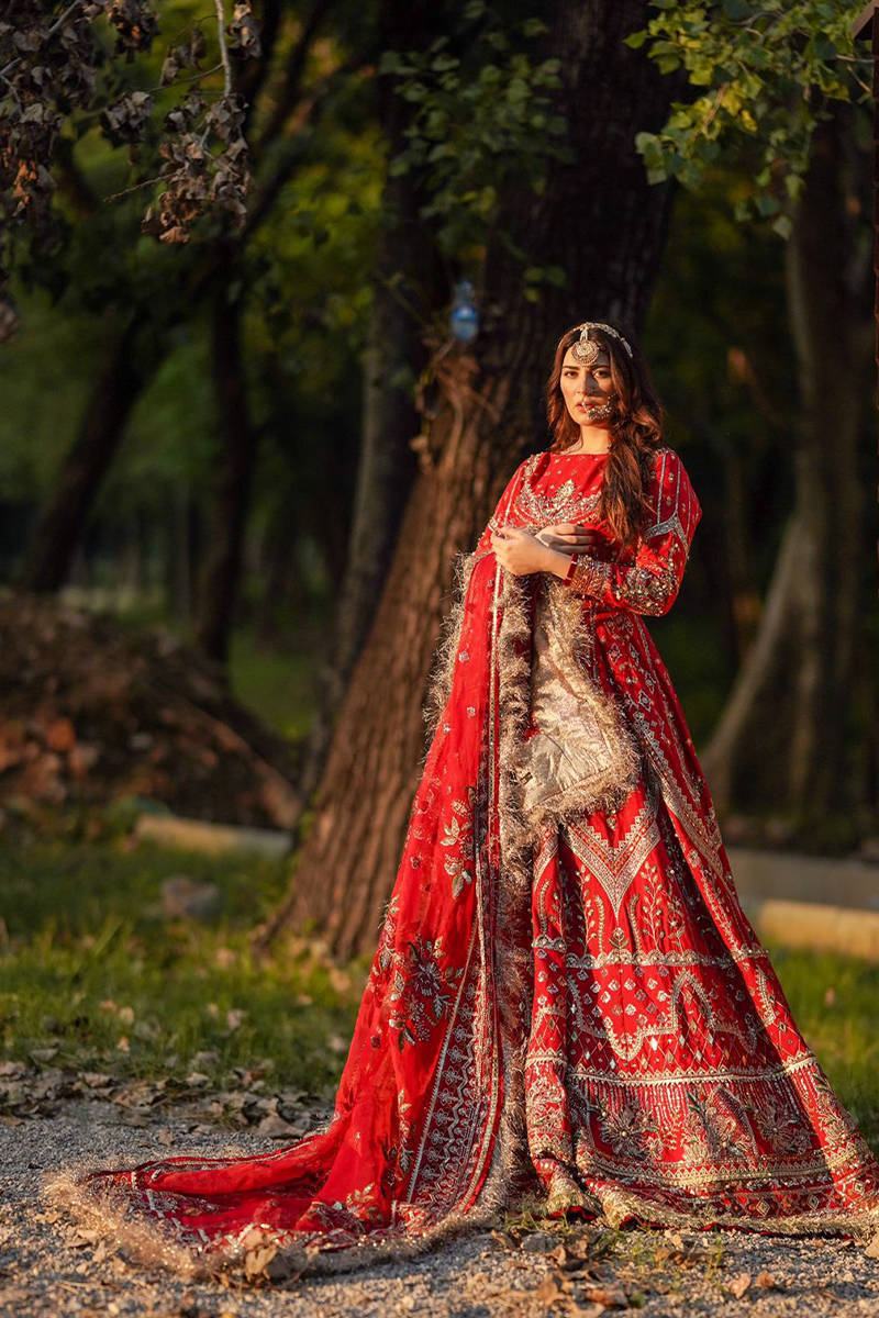 Picture of Sheema Kirmani