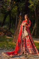 Picture of Sheema Kirmani