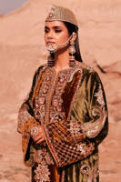 Picture of Chak 77 Janoobi