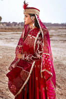 Picture of Chak Taja Rehan