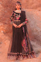 Picture of Chak Nizam