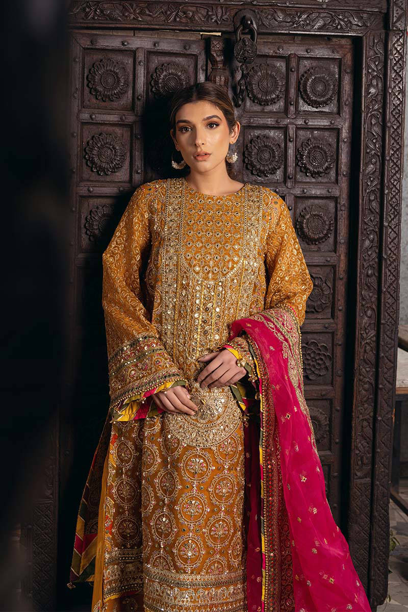 Picture of Zainab Reza in Kesari