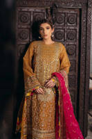 Picture of Zainab Reza in Kesari