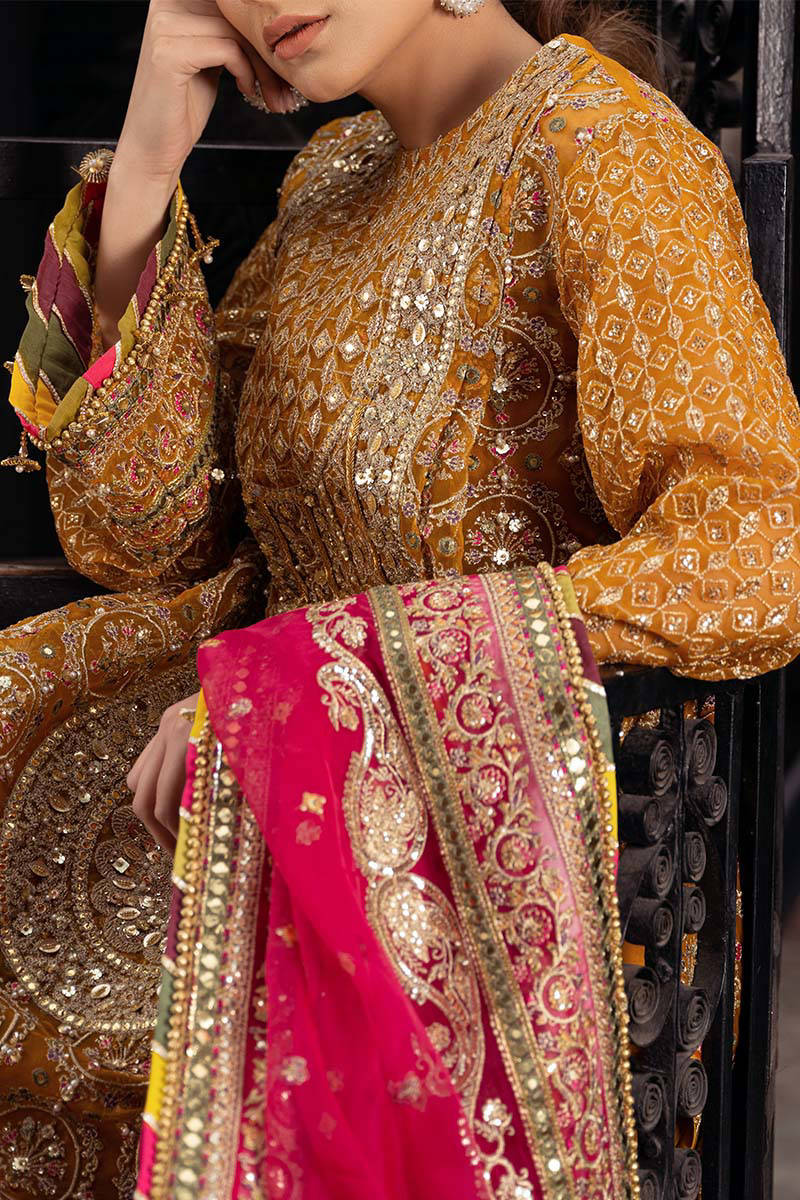 Picture of Zainab Reza in Kesari