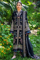 Picture of Raat ki Rani