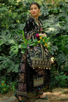 Picture of Raat ki Rani