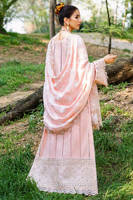 Picture of Gul Bahaar