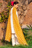 Picture of Suraj Mukhi