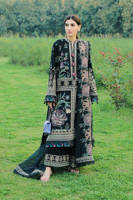 Picture of Raat ki Rani