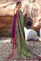 Picture of Gul-E-Lala