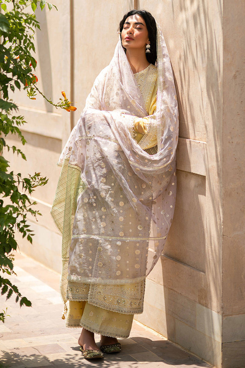 Sapna Mohsin Naveed Ranjha Design Studio