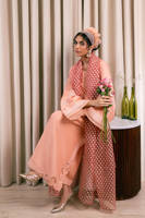 Picture of Peach Delight