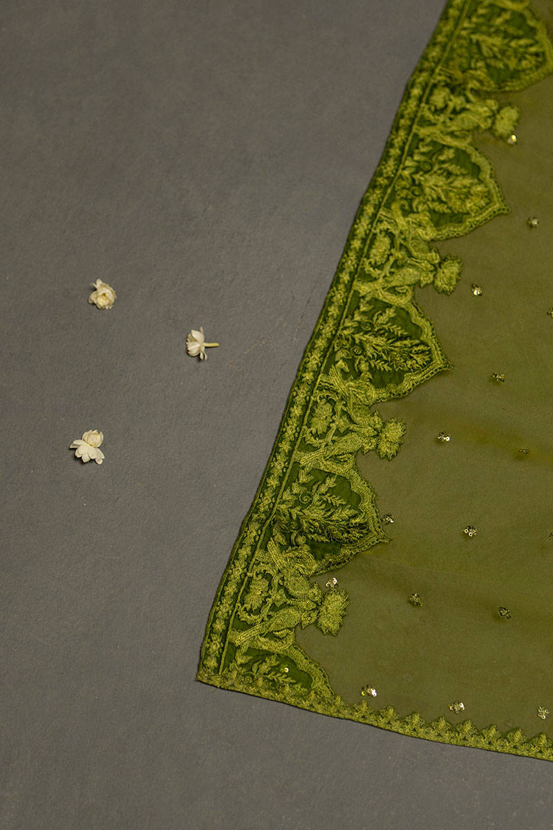 Picture of Sabah Bano