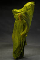 Picture of Sabah Bano