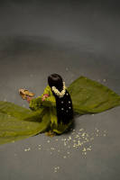 Picture of Sabah Bano