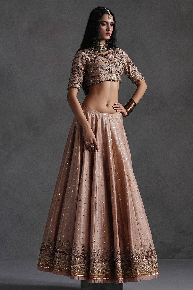 Picture of Rose Pink Lehnga Choli