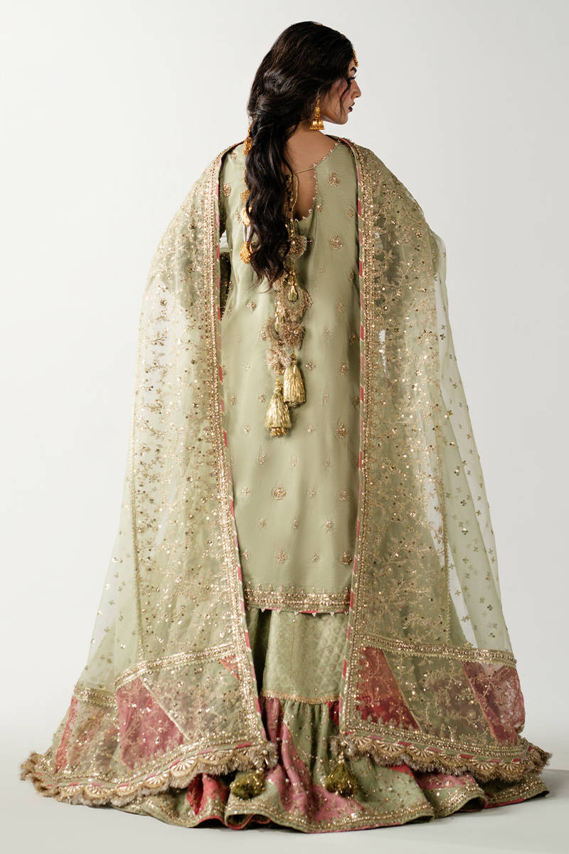 Picture of Sahib Jan A