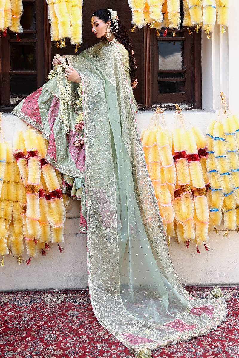 Picture of Sahib Jan A