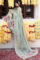 Picture of Sahib Jan A