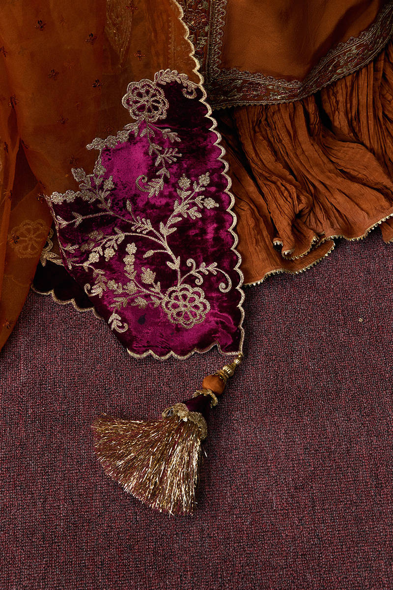 Picture of Jan Begum