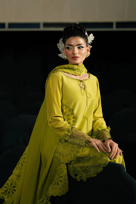 Cypress Charm with Dupatta