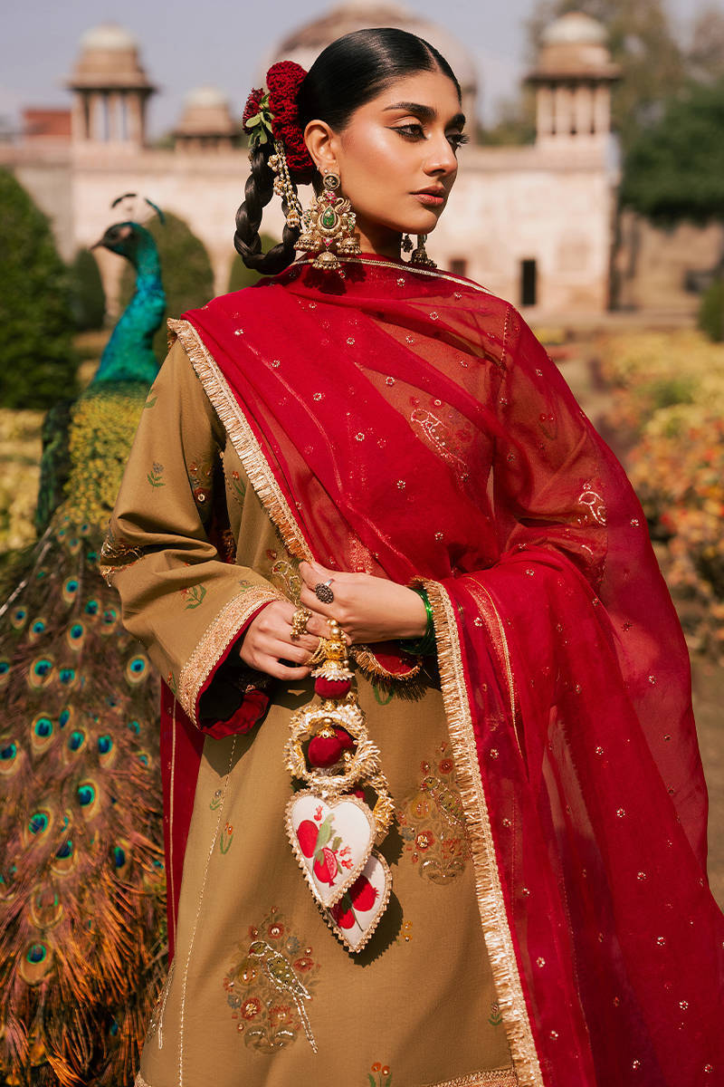 Picture of Noor e Dastaan