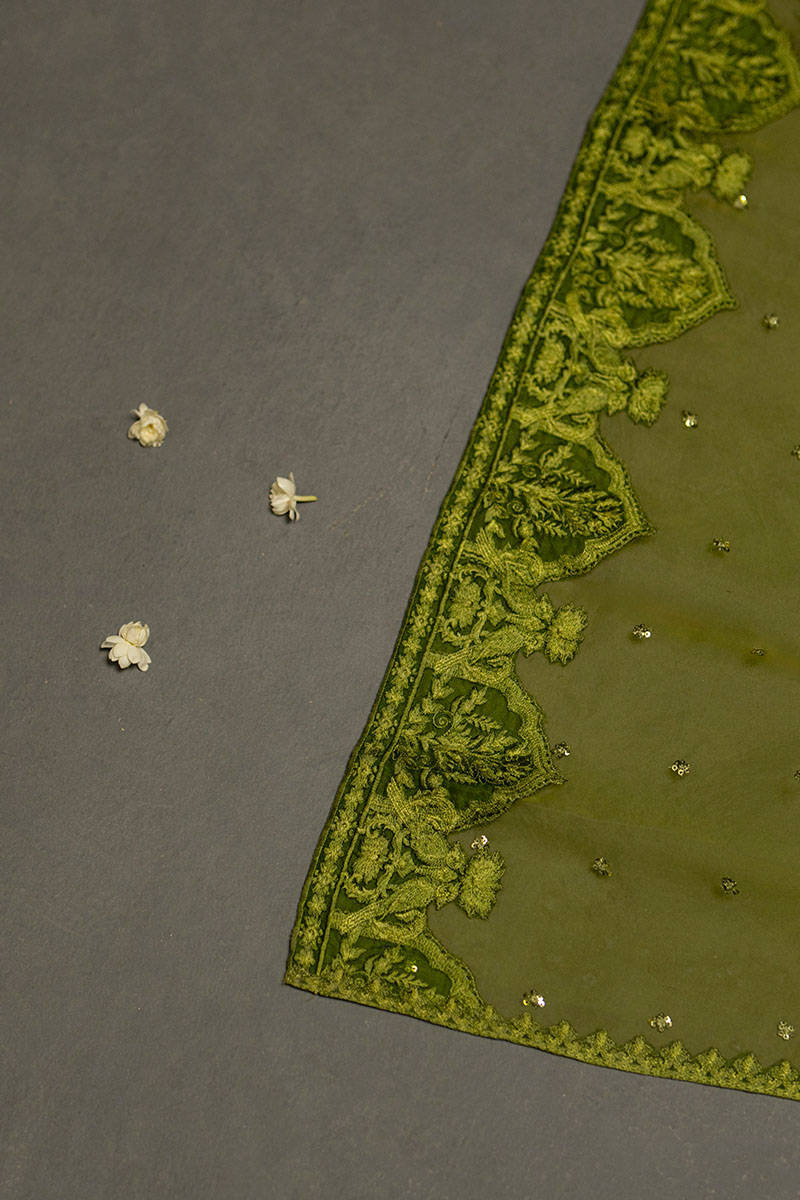 Picture of Sabah Bano