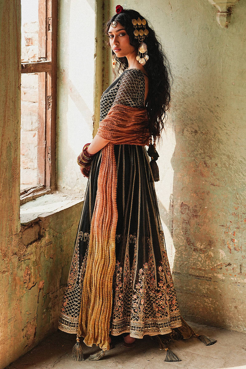 Picture of Ronak-e-Chaman