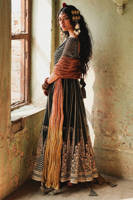 Picture of Ronak-e-Chaman