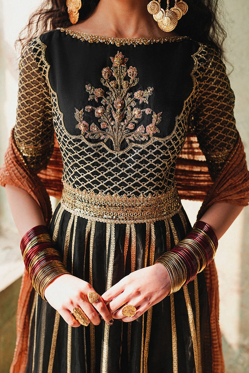 Picture of Ronak-e-Chaman