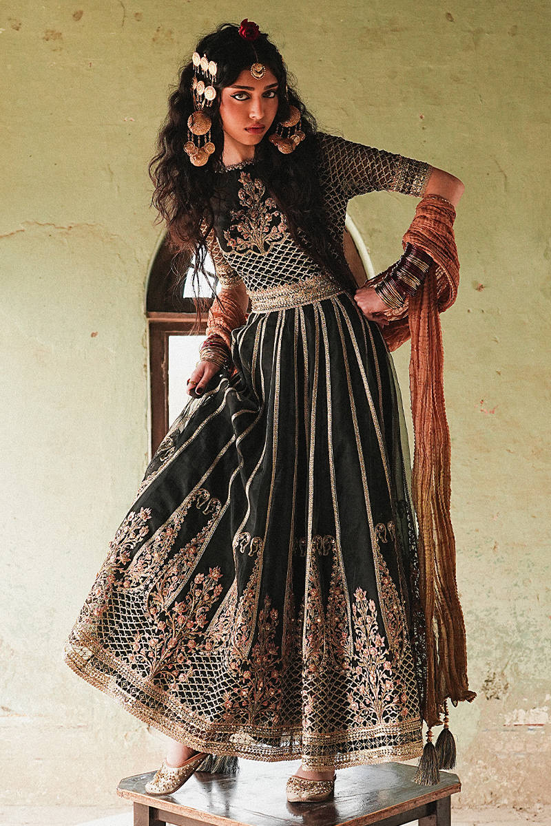 Picture of Ronak-e-Chaman