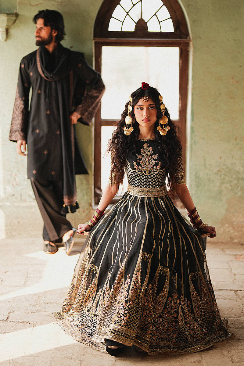 Picture of Ronak-e-Chaman