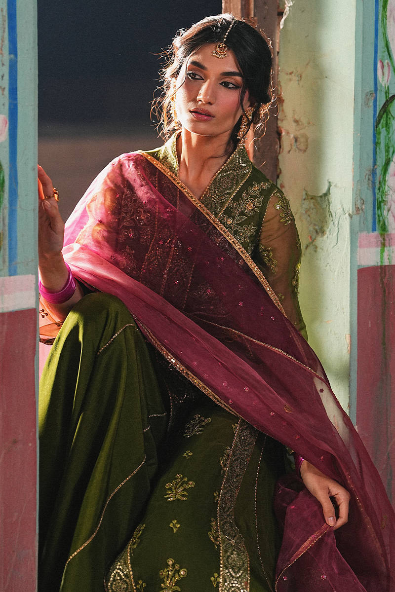 Picture of Ronak-e-Bahar