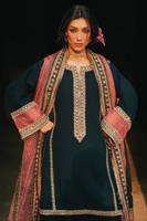 Picture of Neel-e-Ronak