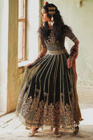 Picture of Ronak-e-Chaman