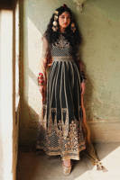 Picture of Ronak-e-Chaman