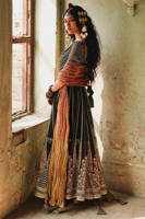 Picture of Ronak-e-Chaman