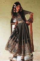 Picture of Ronak-e-Chaman