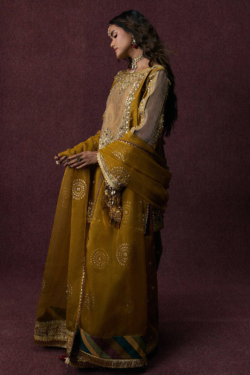 Picture of Bahar Begum
