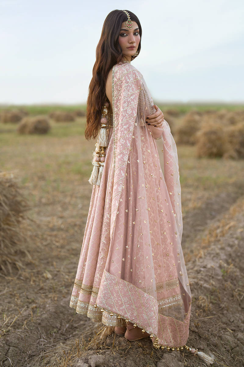 Picture of Patiala