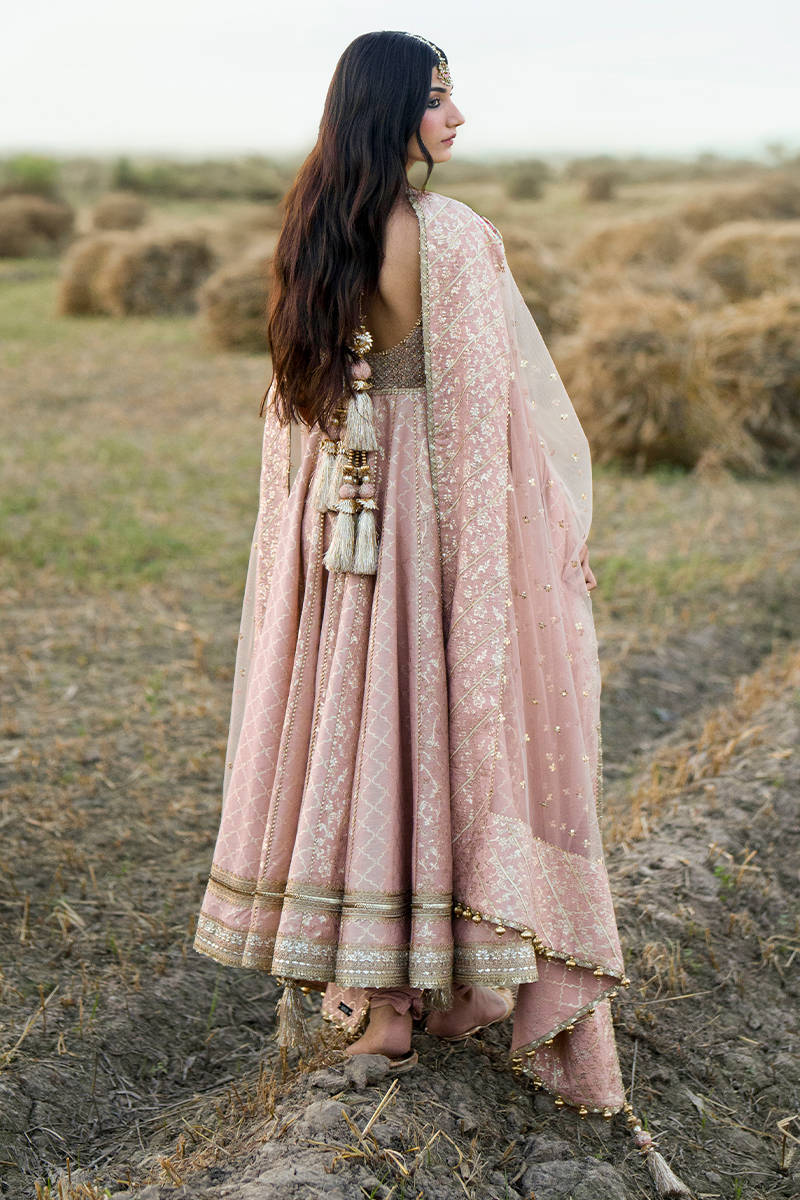 Picture of Patiala