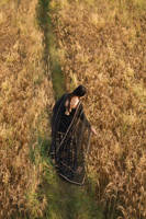Picture of Pannu