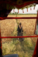 Picture of Pannu