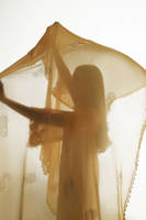 Picture of Mystic Gold