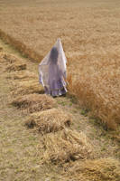 Picture of Ardaas